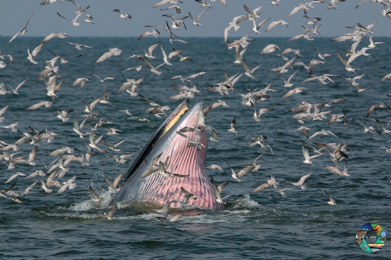 ผลการประกวดภาพถ่าย ททท.