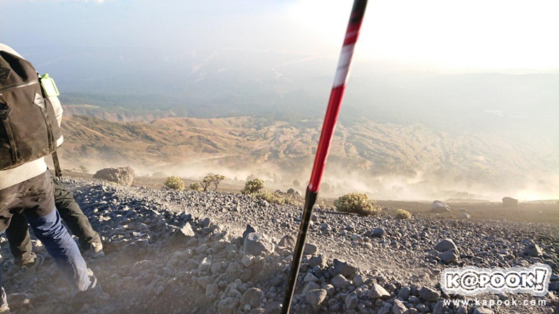 แผ่นดินไหวอินโดนีเซีย