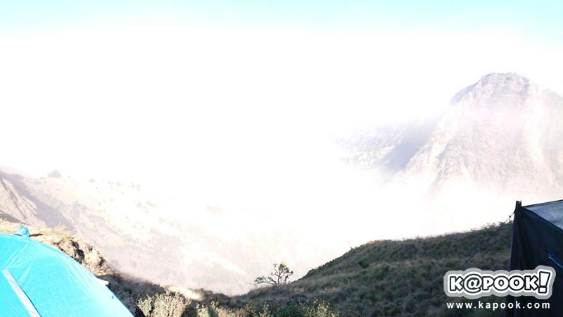 แผ่นดินไหวอินโดนีเซีย