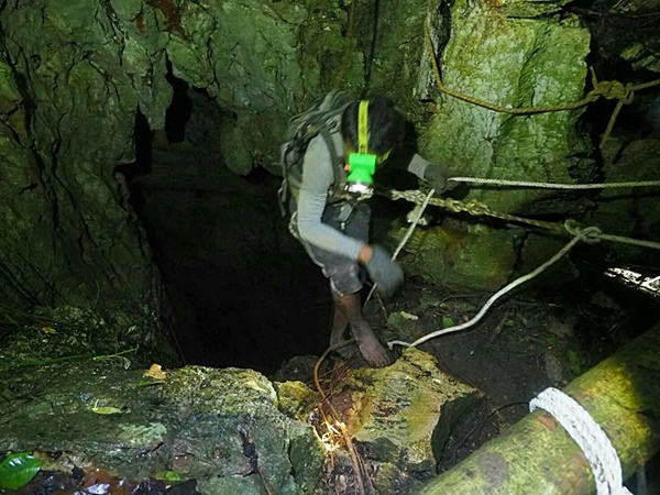 ทีมเก็บรังนกเกาะลิบง ถูกเรียกตัวกลับถ้ำหลวงด่วน