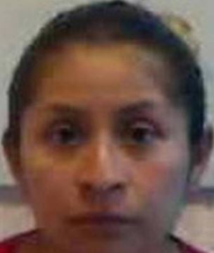 นักท่องเที่ยวจับหอย