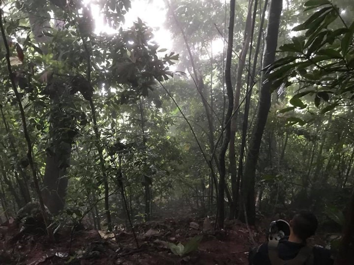 ถ้ำหลวง