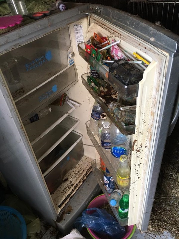 ผู้เช่ามหาภัย