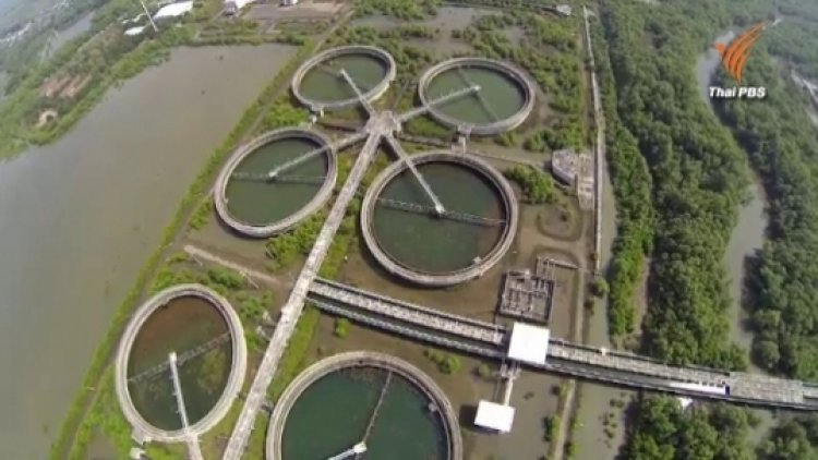 วัฒนา อัศวเหม