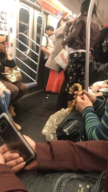 มนุษย์ป้า