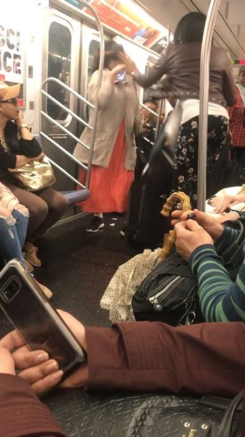 มนุษย์ป้า