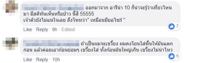 ปาแผ่นหินใส่รถ