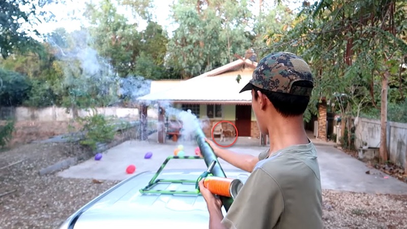 ยูทูบเบอร์ยิงพลุใส่หมา