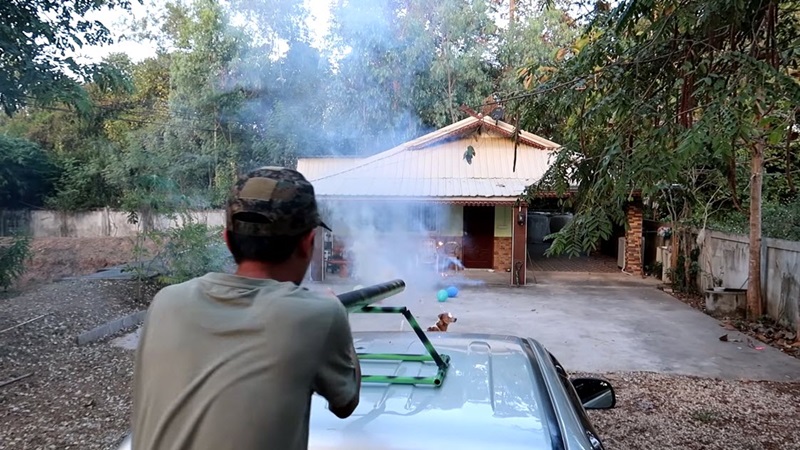 ยูทูบเบอร์ยิงพลุใส่หมา