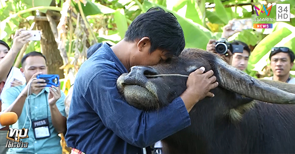 พี่คล้าว 2018