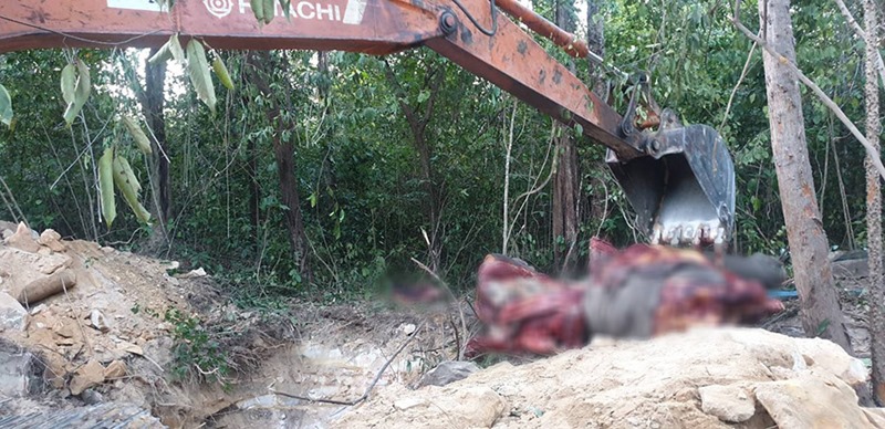 ยิงช้างป่าพนมดงรัก