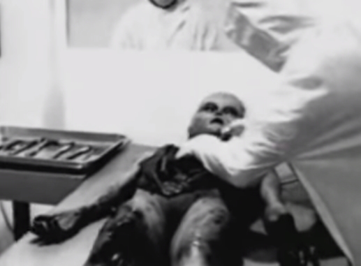 คลิปผ่าเอเลี่ยน