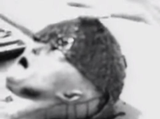 คลิปผ่าเอเลี่ยน