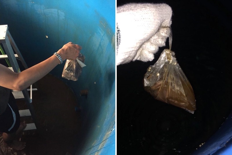 ถุงขี้แช่แท็งก์น้ำคอนโด