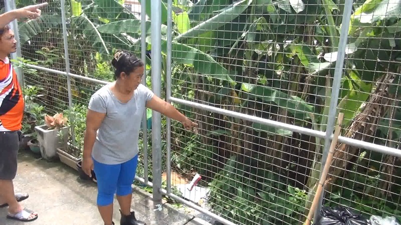 แม่ทิ้งลูก