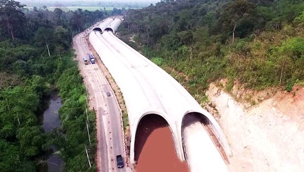 อุโมงค์เชื่อมผืนป่าเขาใหญ่-ทับลาน