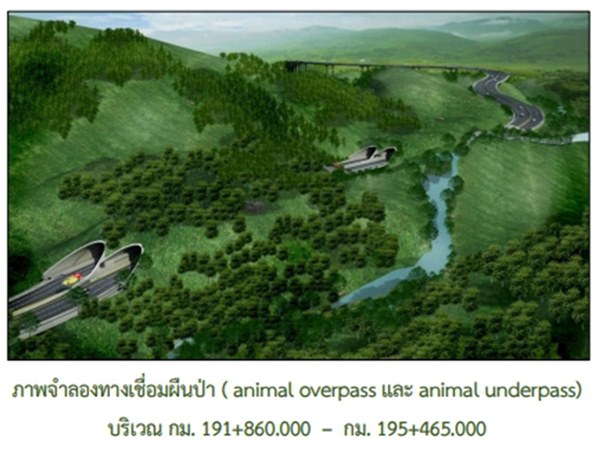 อุโมงค์เชื่อมผืนป่าเขาใหญ่-ทับลาน