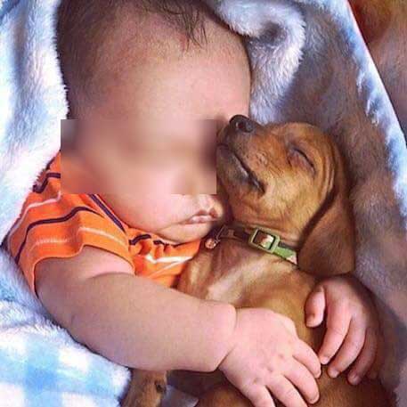 ทอมโดนขโมยลูก