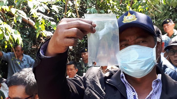 ช้างป่ากุยบุรี