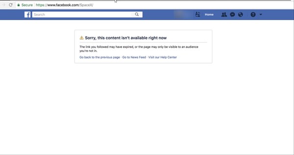 อีลอน มัสก์