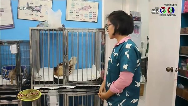 ไก่หัวขาด