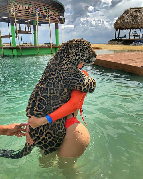 สาวเซ็กซี่สาวอุ้มเสือดาวลงเล่นน้ำ