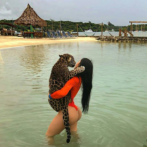 สาวเซ็กซี่สาวอุ้มเสือดาวลงเล่นน้ำ