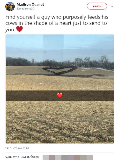 เซอร์ไพรส์แฟน