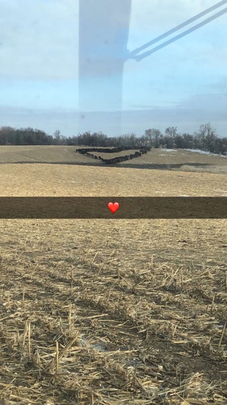 เซอร์ไพรส์แฟน