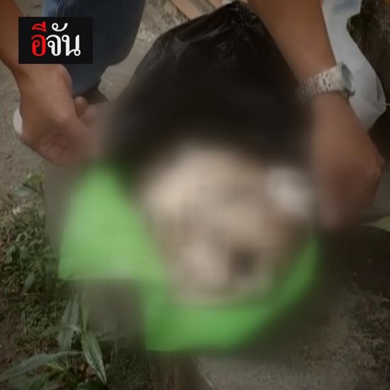 ทิ้งศพทารกในถังขยะ