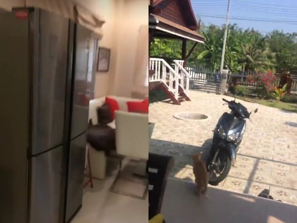 คลิปลูกบ่นแม่