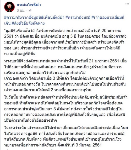 คนกับลิง