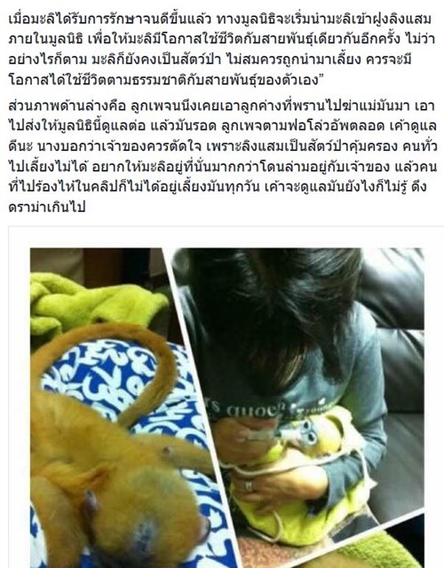 คนกับลิง