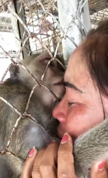 คนกับลิง