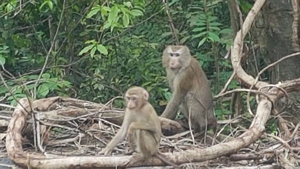 จ่อปิดถนน 3076 ถาวร