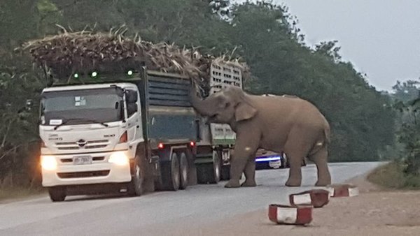 จ่อปิดถนน 3076 ถาวร