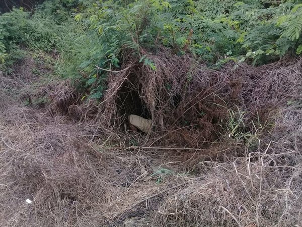 พ่อตายิงลูกสะใภ้