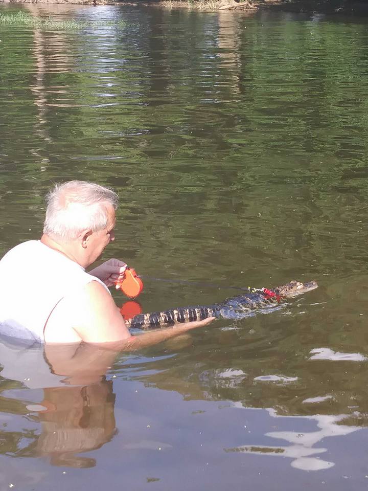 เลี้ยงจระเข้