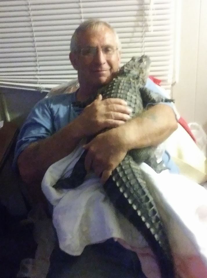 เลี้ยงจระเข้