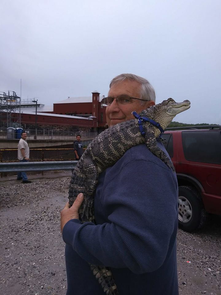 เลี้ยงจระเข้