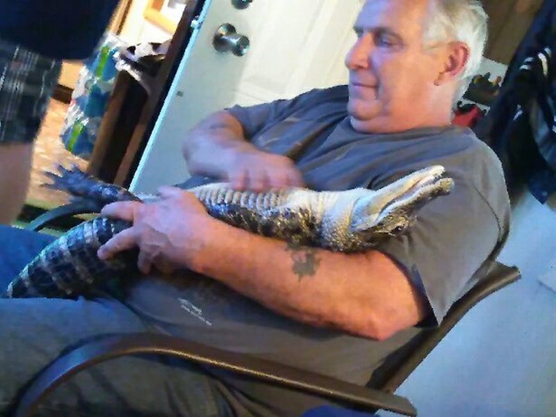 เลี้ยงจระเข้