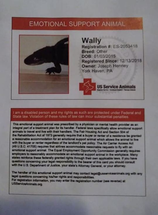 เลี้ยงจระเข้