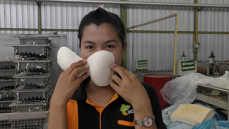 ยกทรงยางพาราป้องกันฝุ่น