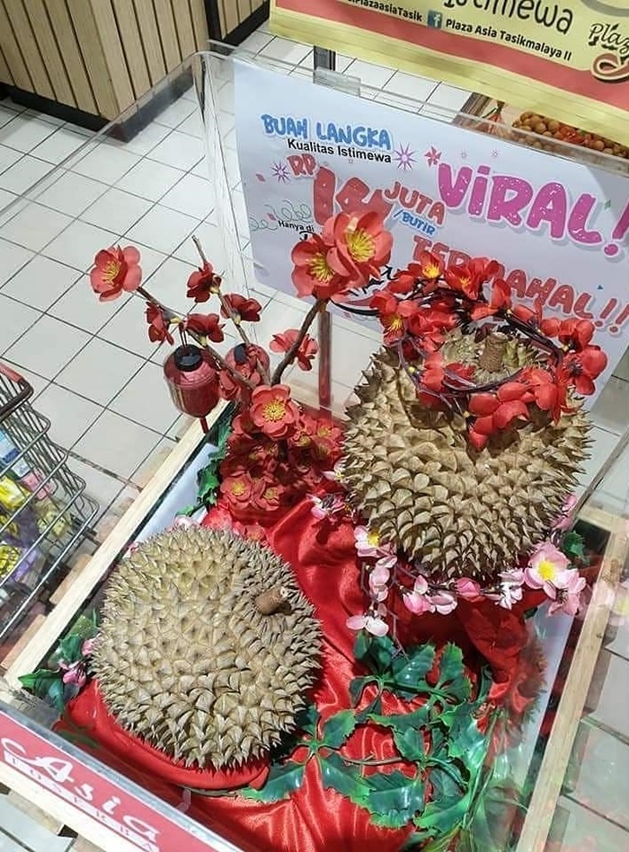 ทุเรียน j-queen ทุเรียนลูกละ 3 หมื่น