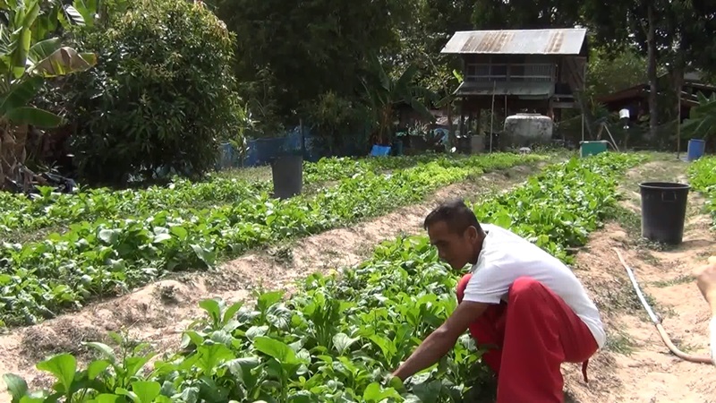 คดีครูจอมทรัพย์