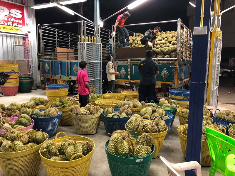 ลูกสาวเสี่ยล้งทุเรียน เปิดใจ