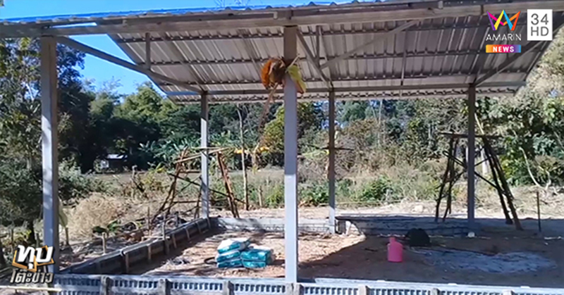 พ่อข่มขืนลูก