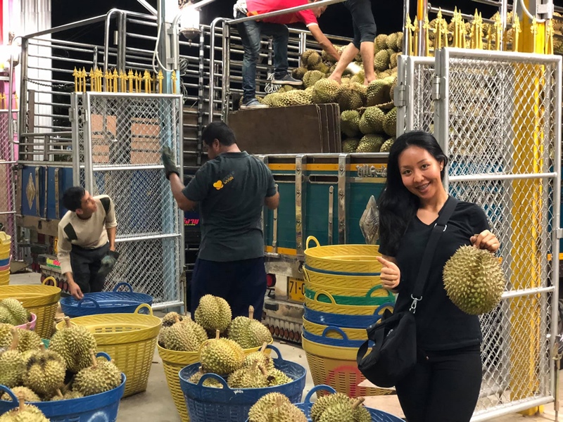 เสี่ยล้งทุเรียนหาคู่ให้ลูกสาว