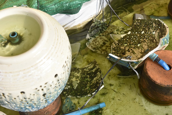 งานบวชโรงเรียนวัดสิงห์