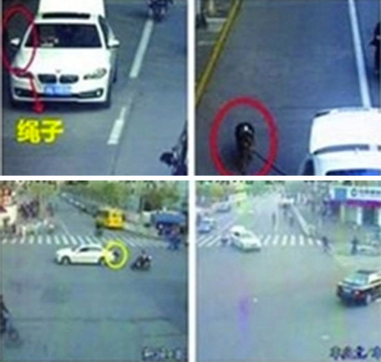  ขับรถจูงสุนัขเดินเล่น